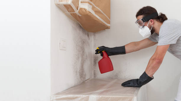 Professional Bathroom Mold Removal technician working in Narberth, PA